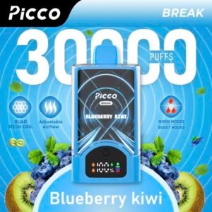 Picco Break 30000 Puffs – Blueberry Kiwi