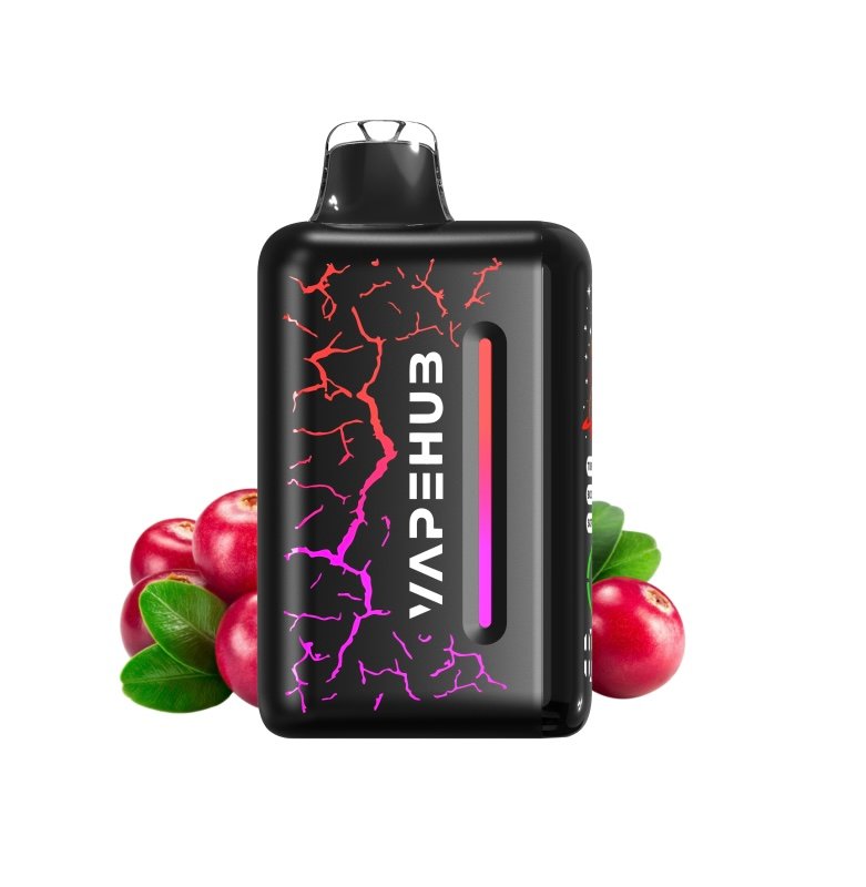 MIDNIGHT BERRY CHILL – VAPEHUB ULTRA 20000